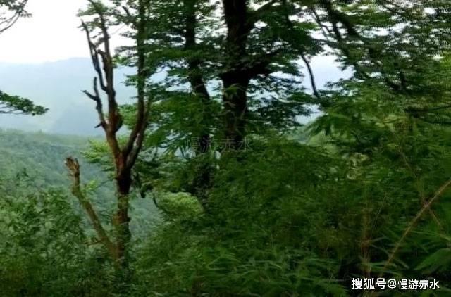 中国工艺美术大师——胡建国